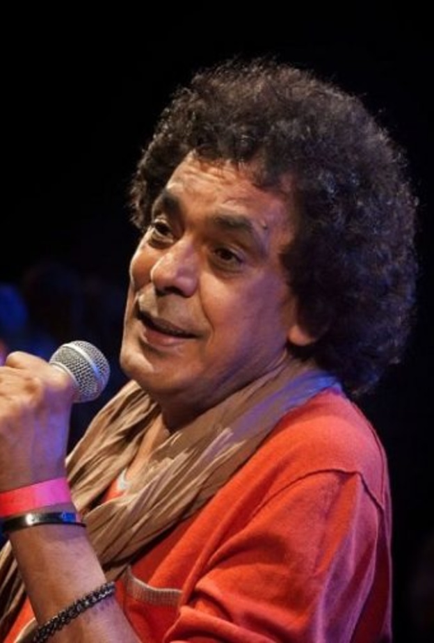 محمد منير 