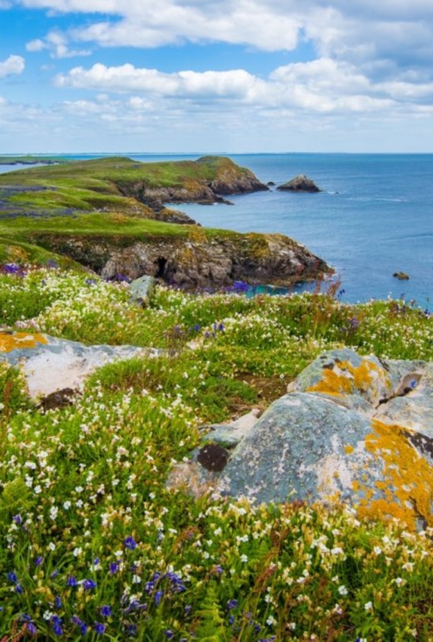  لا تتجاهل زيارة المناطق الريفية خلال رحلتك السياحية في إيرلندا-Wynand van Poortvliet