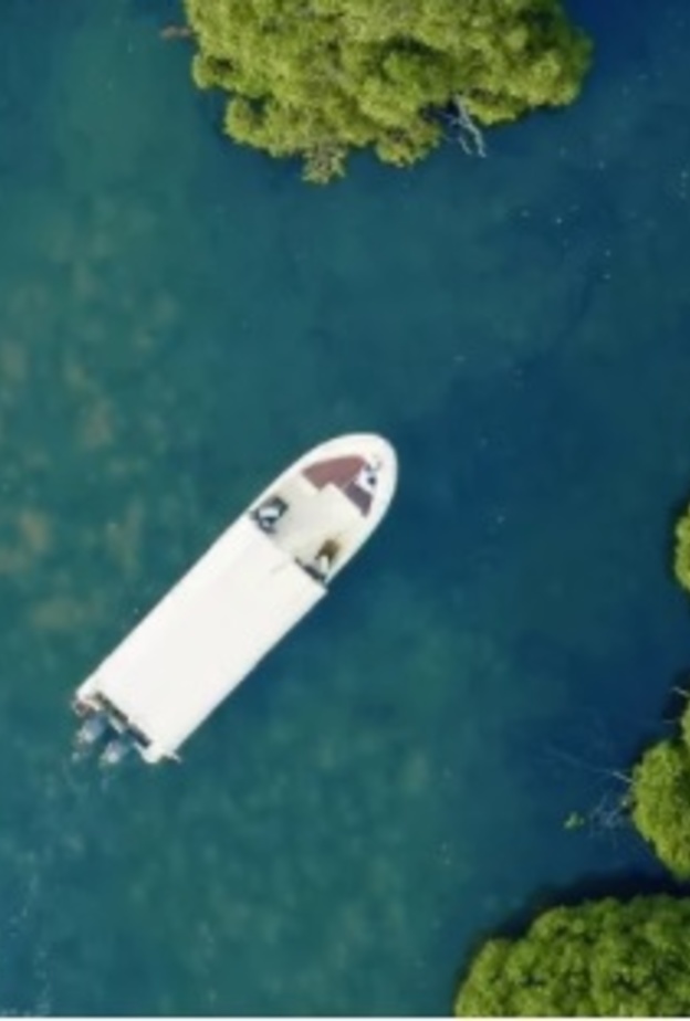 المساحات الخضراء تغطي جزر فرسان- المصدر روح السعودية