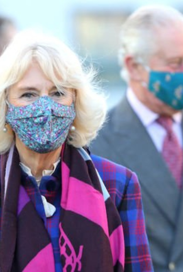 الأمير تشارلز يلغي التعليقات على رسالته للتهنئة بسبب التعليقات المسيئة