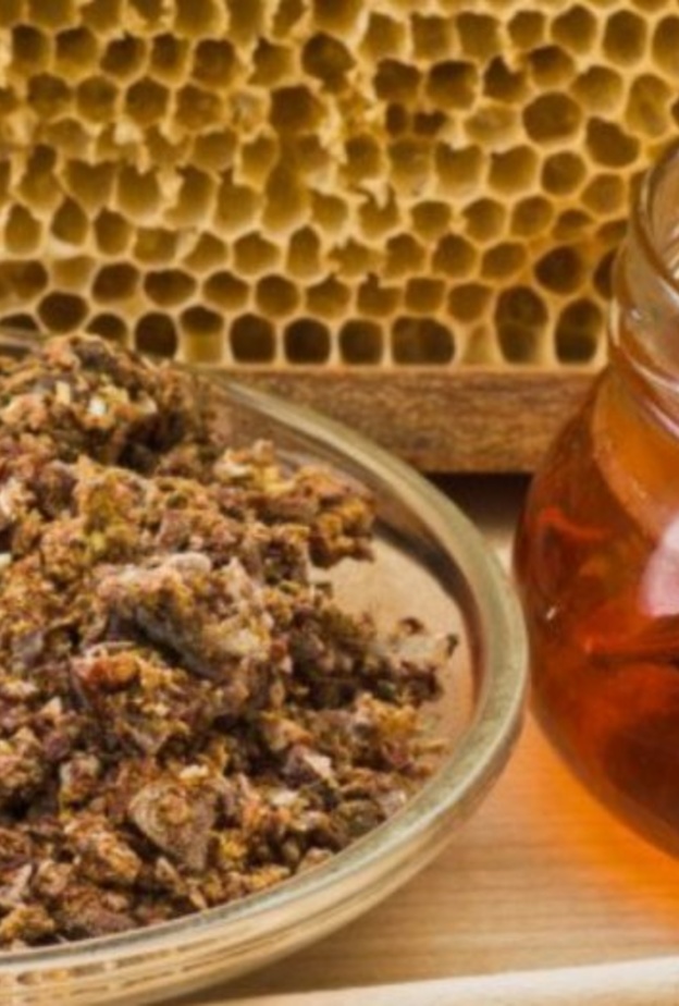  ماهو العكبر وماهي فوائده الصحية