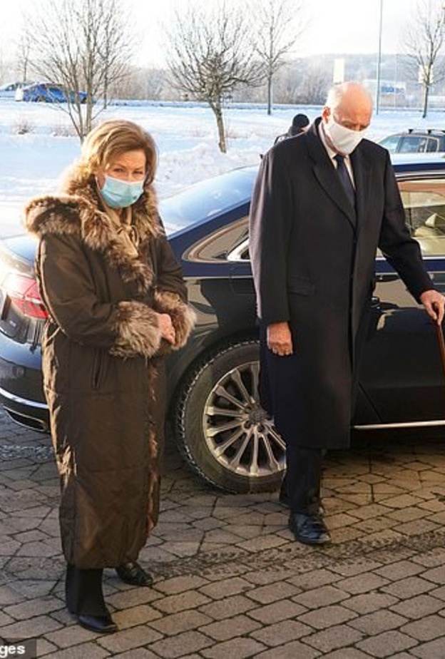 بالصور ملك النرويج يزور موقع الانهيار الأرضي بالقرب من أوسلو