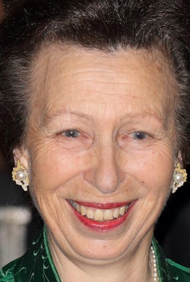 الأميرة آن تقوم بأولى مهماتها الرسمية في هذا العام