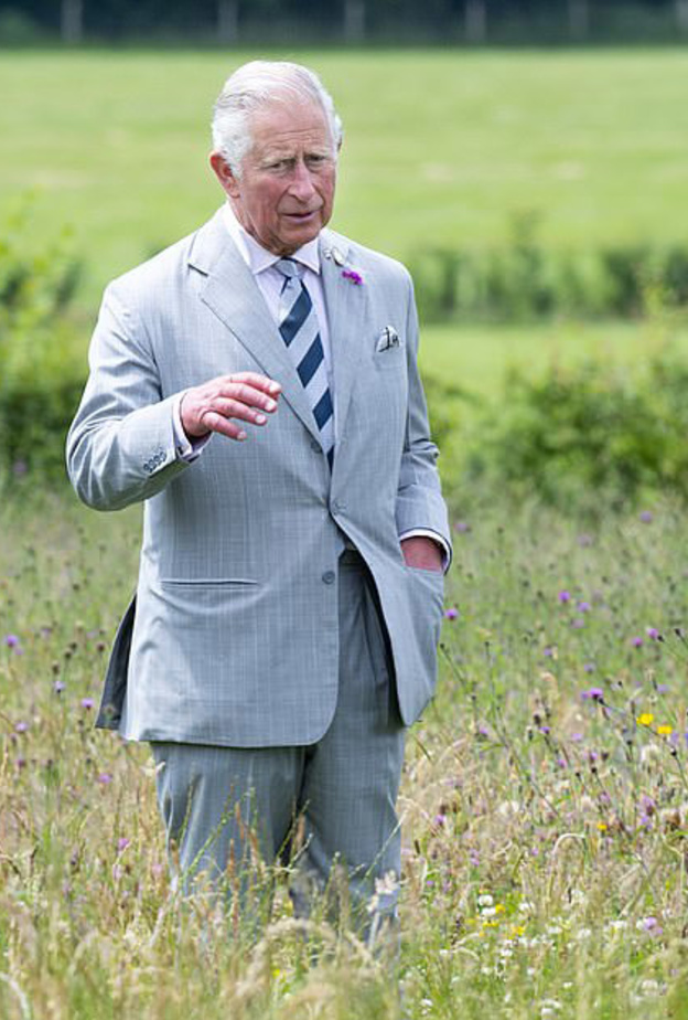 الأمير تشارلز يخطط للإعلان عن مبادرته البيئية الجديدة