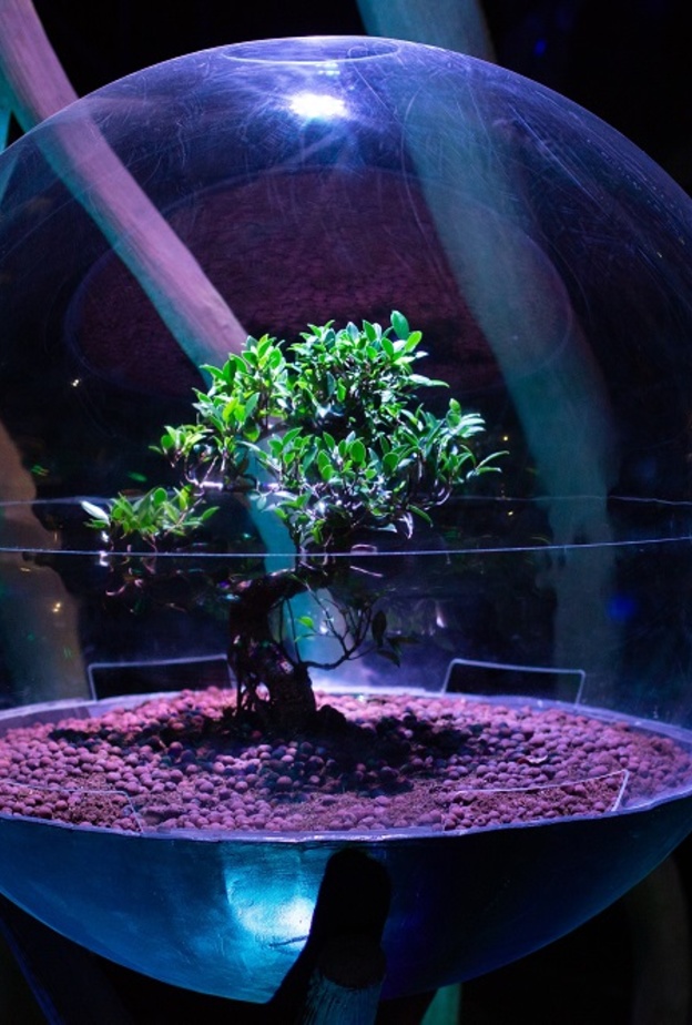  جناح تيرا في اكسبو 2020