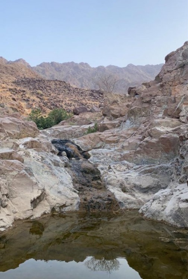 الكثير من المعادن المفيدة في عيون المياه بالفجيرة 