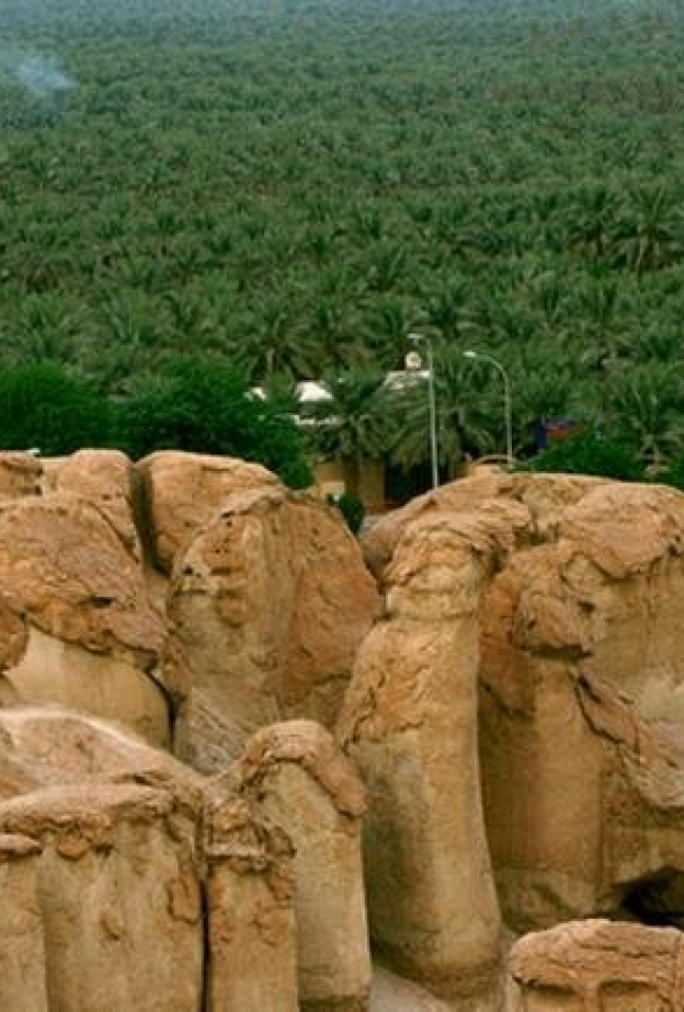 جبل القارة من أفضل الوجهات الطبيعية بالمملكة - المصدر "روح" السعودية