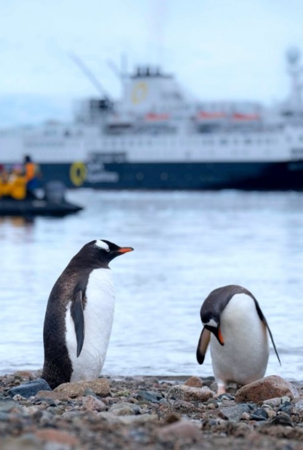 السياحة في آنتاركتيكا.. رحلات سياحية في 2021 Derek Oyen