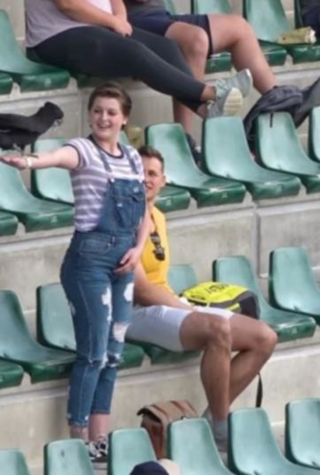  لعب ببغاء أسود يدعى إيولي Euli، دور أساسي في تقديم عرض زواج في حديقة حيوان أستراليا