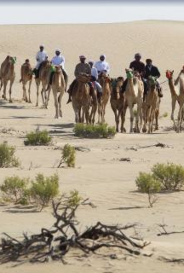 محمية المرزوم.. الوجهة الطبيعية الأمثل لعشاق الصيد بالصقور- المصدر لجنة إدارة المهرجانات والبرامج الثقافية
