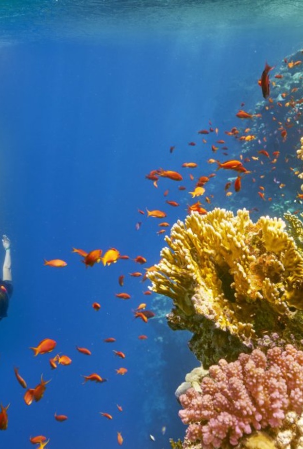  السياحة في دهب الثقب الأزرق Blue Hole