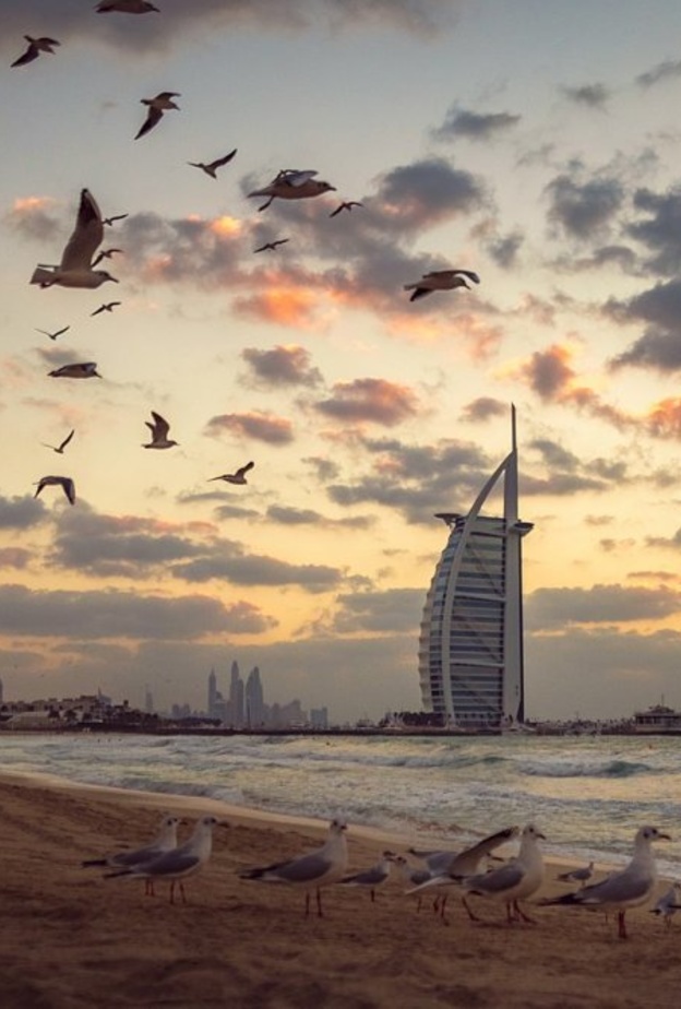 أجواء ساحرة في شاطئ الغروب دبي بواسطة Iarjunphotography