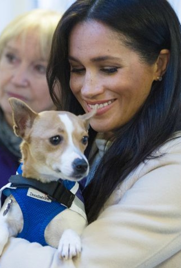 السر في كلبيها.. كيف تخطت ميغان ماركل تحديات العام الماضي؟