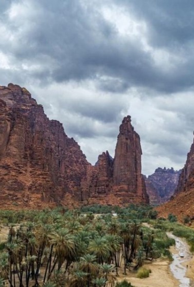 طبيعة ساحرة في الديسة - المصدر وكالة الأنباء السعودية