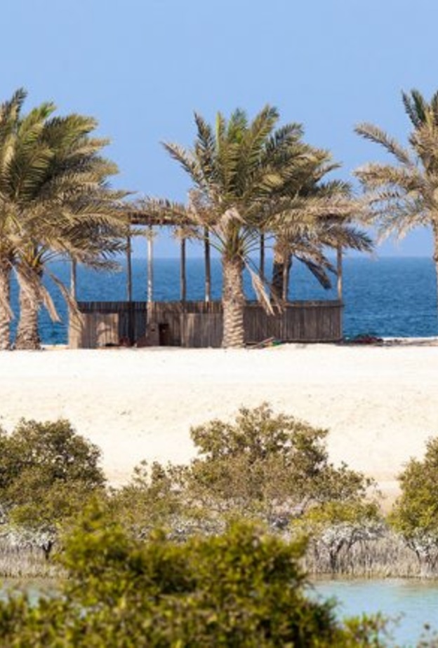 أصل تسمية صير بونعير