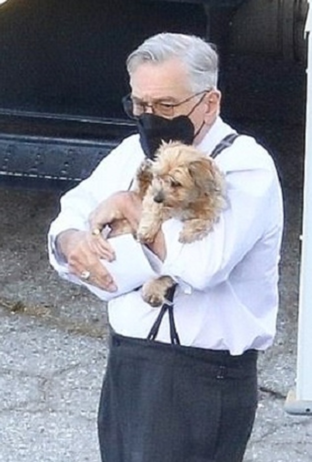 روبرت دي نيرو