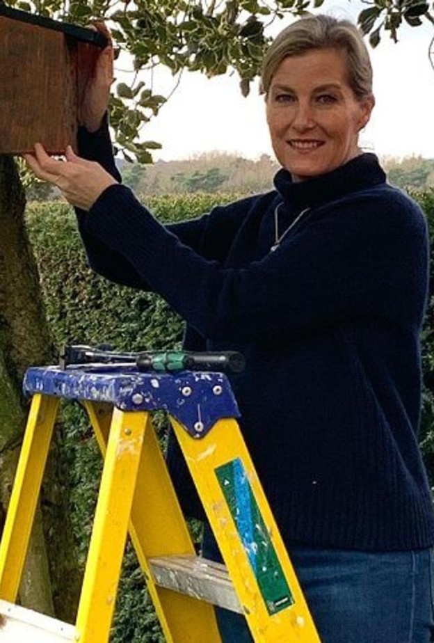 كونتيسة وسكس تشارك في جلسة فنية رقمية للمعهد الوطني الملكي للمكفوفين