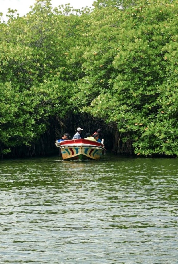  السياحة في سريلانكا نهر مادو جانجا Madu Ganga River