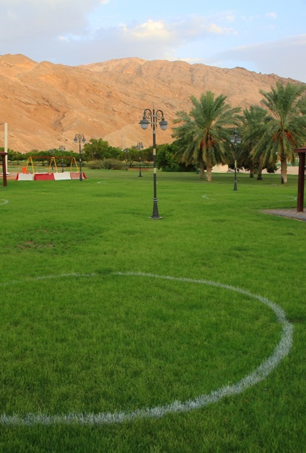 من واحة العين