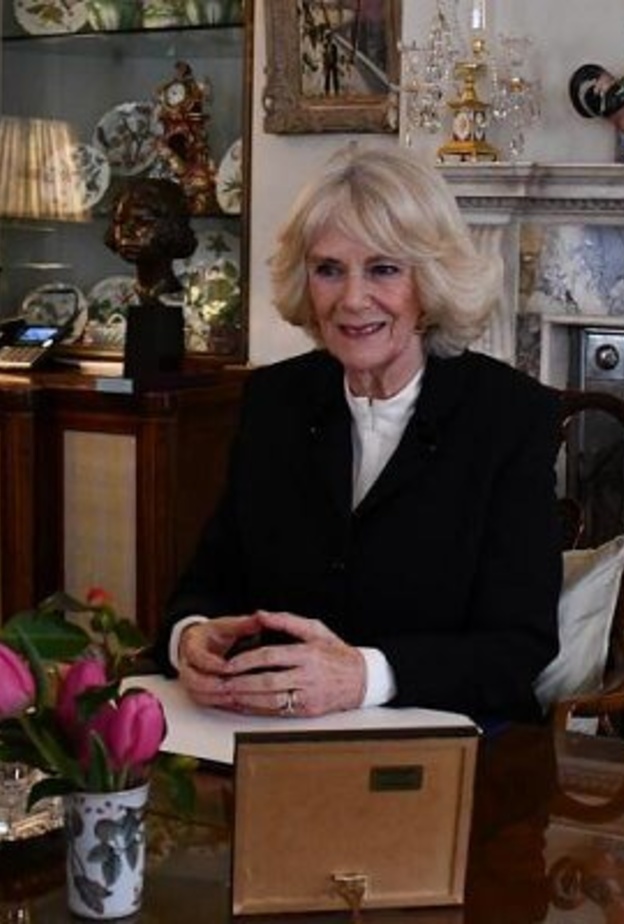 دوقة كورنوال تناقش برنامج جديد للحد من العنف المنزلي