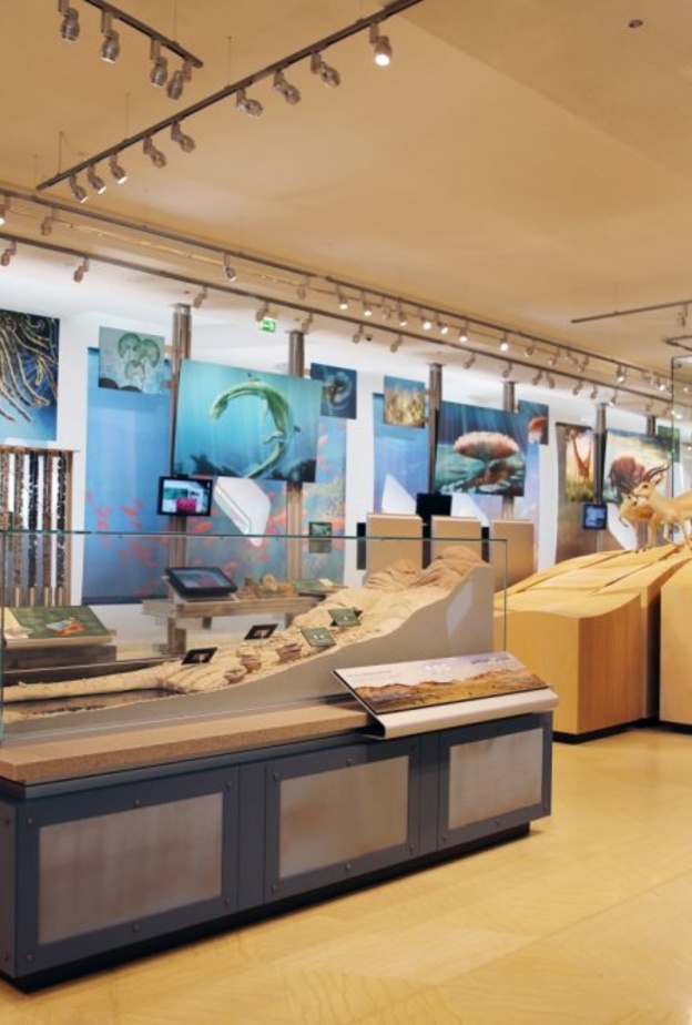 مركز الشيخ زايد لعلوم الصحراء وجهة سياحية وتعليمية مميزة - المصدر وكالة أنباء الإمارات