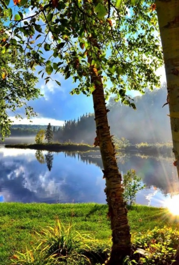 روعة مشاهد الطبيعة في كندا بواسطة pxhere