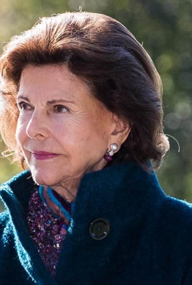 ملكة السويد سقطت في منزلها بقلعة دروتنينغهولم