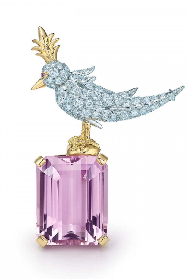  بروش Bird on a Rock من تيفاني اند كو Tiffany & Co