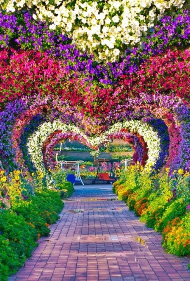  من دبي ميراكل جاردن