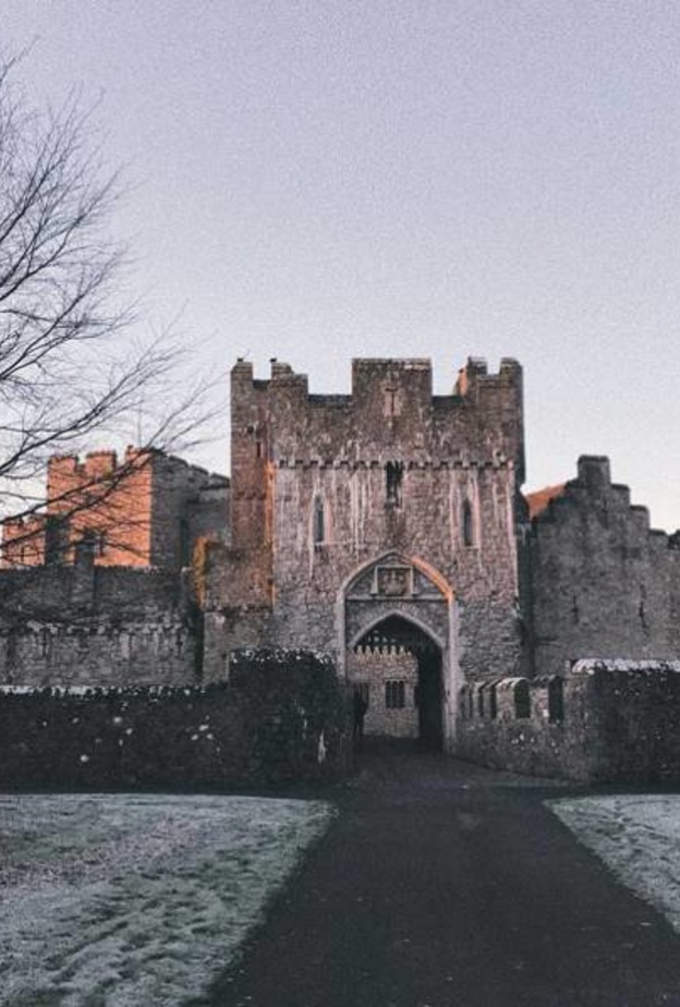 لماذا يختار أفراد العائلات الملكية الدراسة في ويلز؟ 