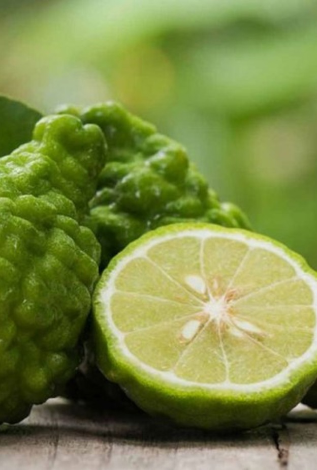 فوائد البرغموت الصحية