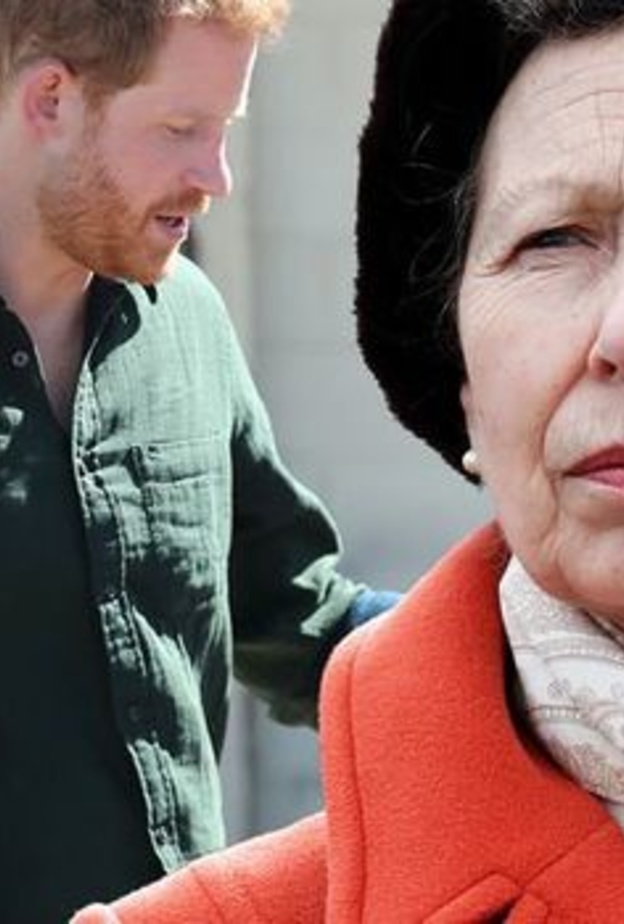 ‎الأميرة آن ستحل محل الأمير هاري في رعاية المؤسسات الخيرية التي تخلي عنها