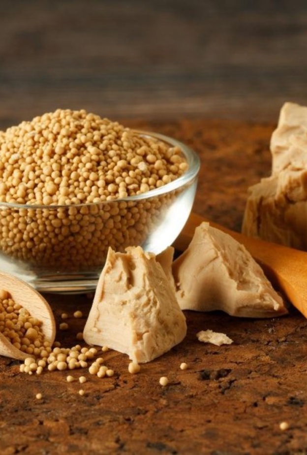 فوائد الخميرة الغذائية وأضرارها