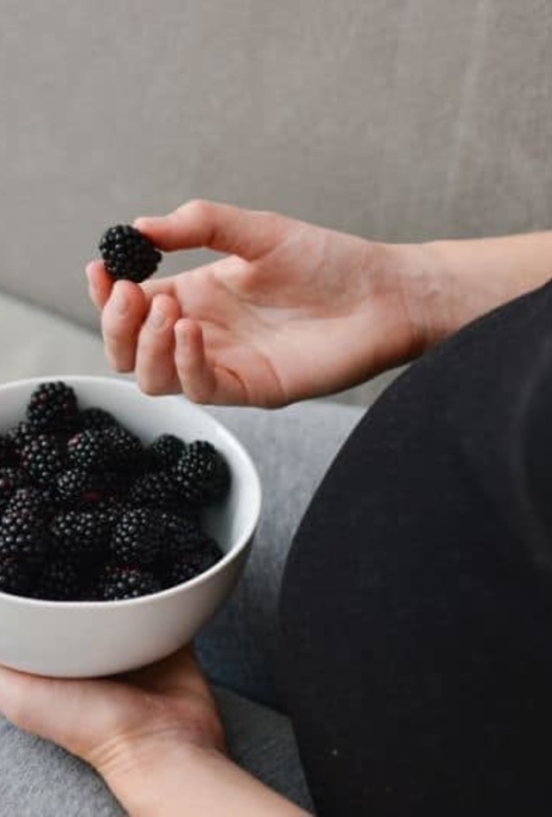 فوائد التوت الأسود للحامل