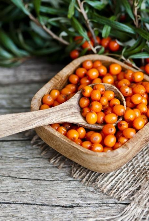 فوائد فاكهة النبق الصحية