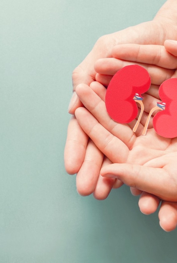 أهمية الوقاية من أمراض الكلى المزمنة في اليوم العالمي للكلى