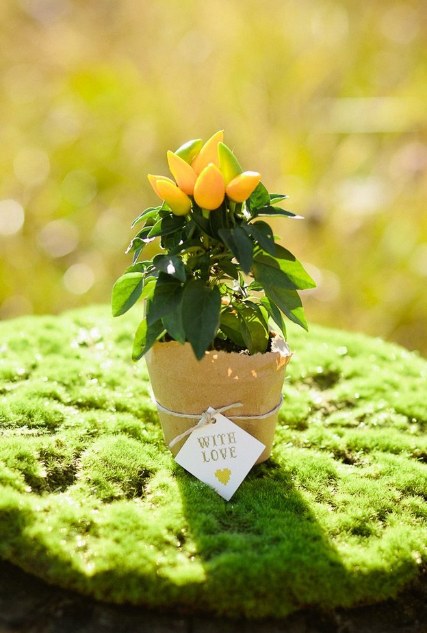  هدية مميزة من وحي خطوبة الربيع