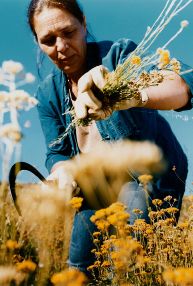 إحتفلوا بعيد الأمّ مع لوكسيتان بهدايا مميّزة تقدّمها لكم الطّبيعة