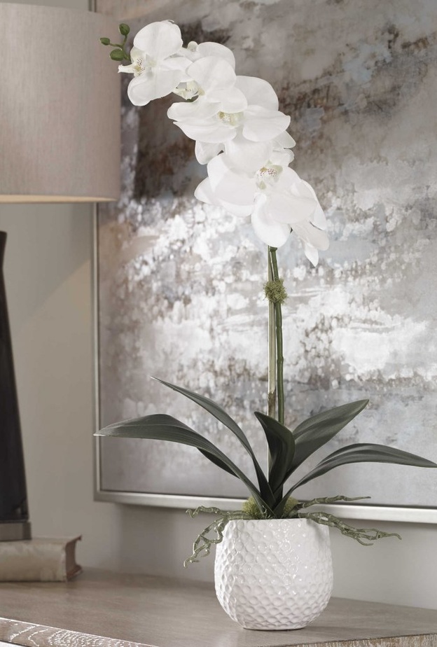 زهرة CAMI ORCHID - UTTERMOST