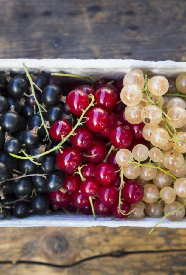 ماهي انواع الكشمش وماهي فوائده الصحية