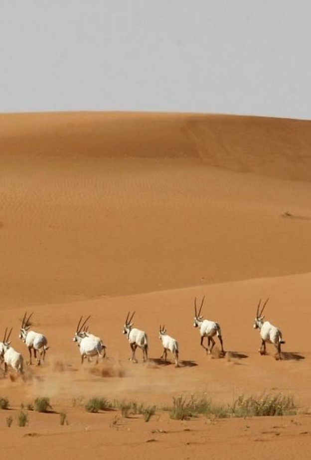 سحر خاص لواحد من أجمل المناطق بالمملكة - وكالة الأنباء السعودية