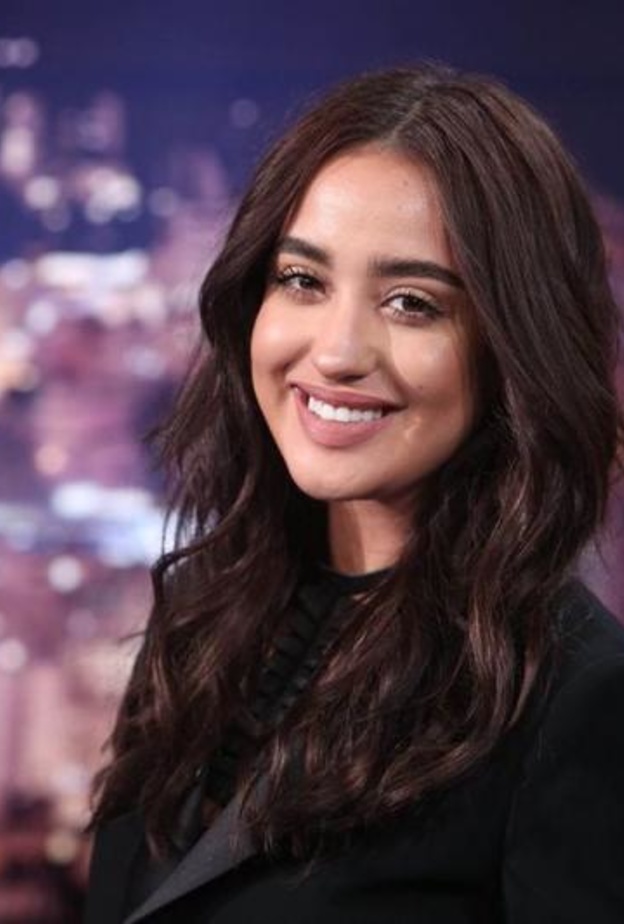 نينا عبد الملك 