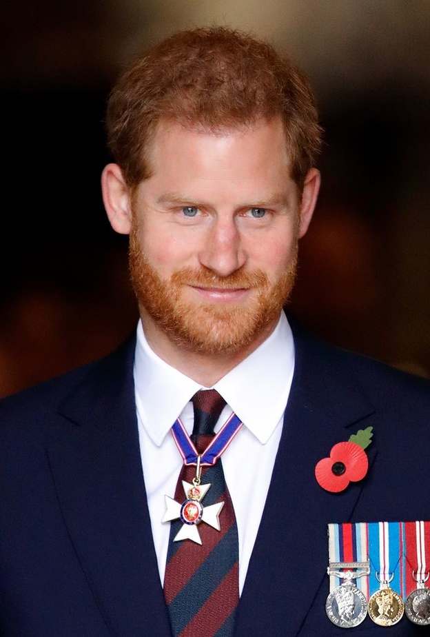 الأمير هاري في رسالة مؤثرة في افتتاحية كتاب للأطفال: أنت لست وحدك 