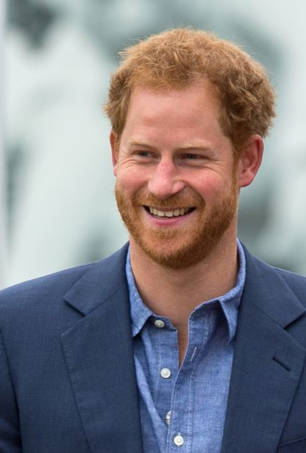 بعد حصول الأمير هاري على وظيفته الجديدة.. ما هو اللقب الذي سيحصل عليه؟