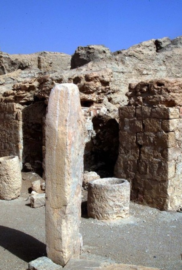 عثر على العديد من المكتشفات في قرية الفاو، بما في ذلك الكتان وصوف الأغنام والعملات