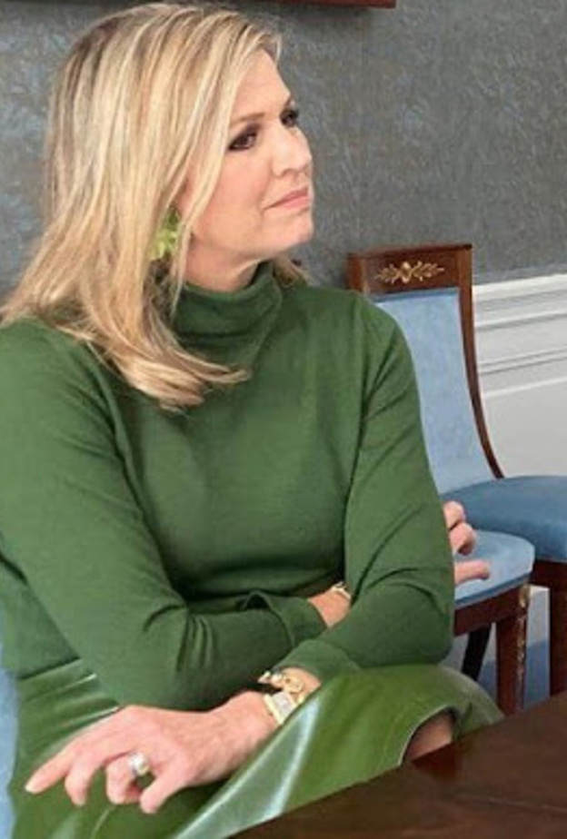 الملكة ماكسيما تشارك في ندوة عبر الإنترنت حول الصحة المالية