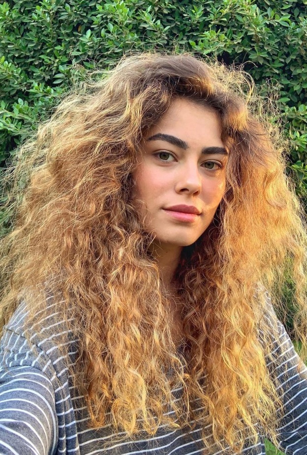 نجمة الموكب الذهبي