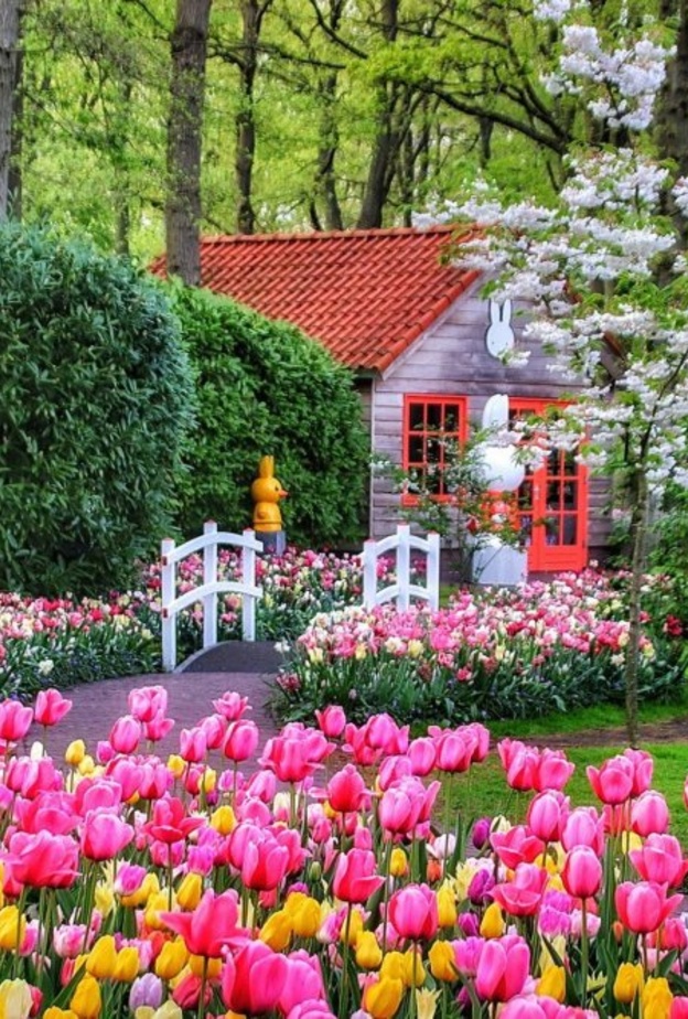 السياحة في هولندا حديقة كوكن هوف Keukenhof Gardens