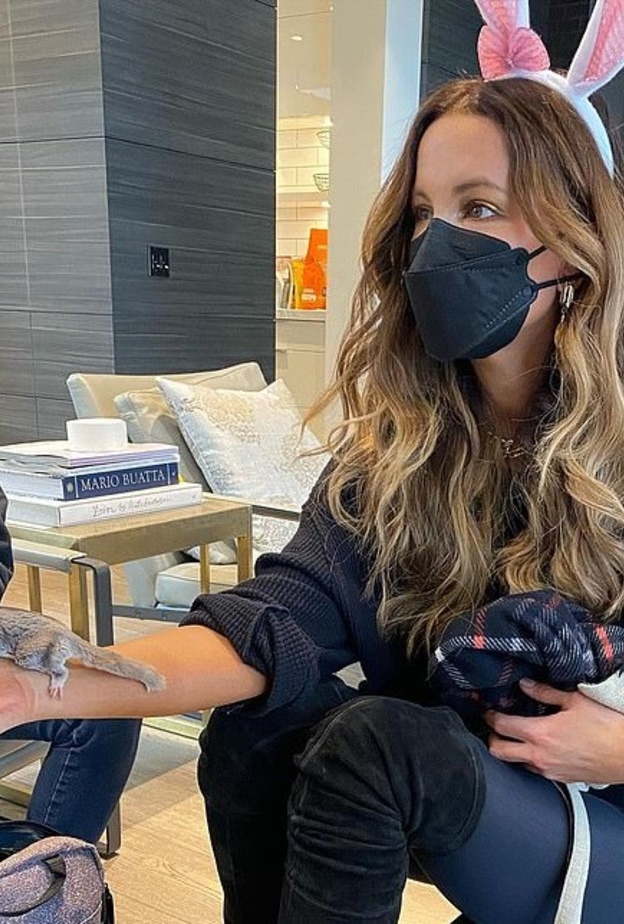 كيت بيكنسيل