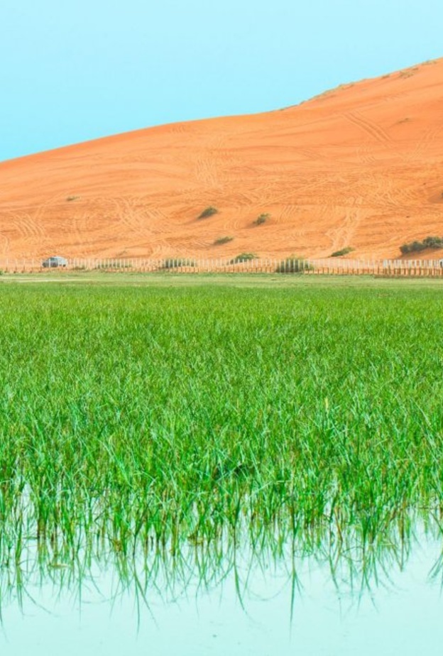 صورة رأسية لمنتزه روضة الخرارة - المصدر روح السعودية 